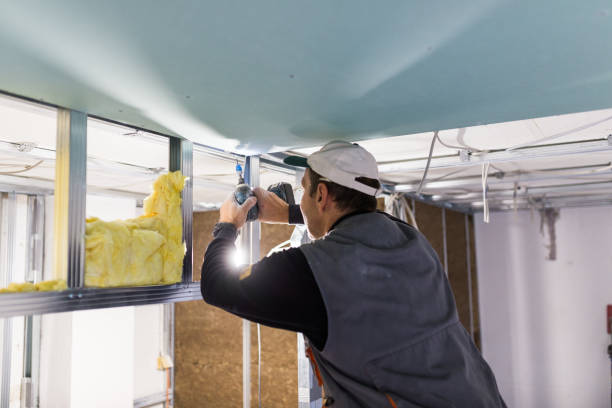 Best Crawl Space Insulation  in Lecanto, FL