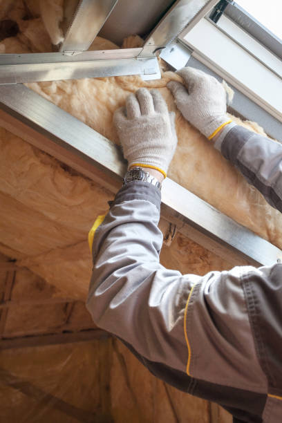 Best Basement Insulation  in Lecanto, FL